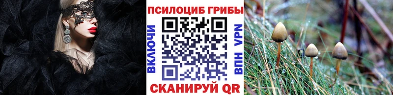 Галлюциногенные грибы Cubensis  Исилькуль 