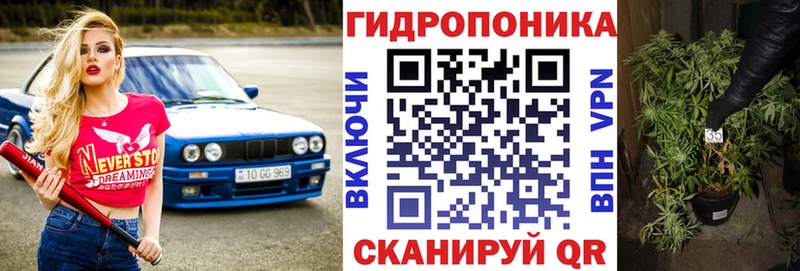 дарнет шоп  Исилькуль  Марихуана планчик 